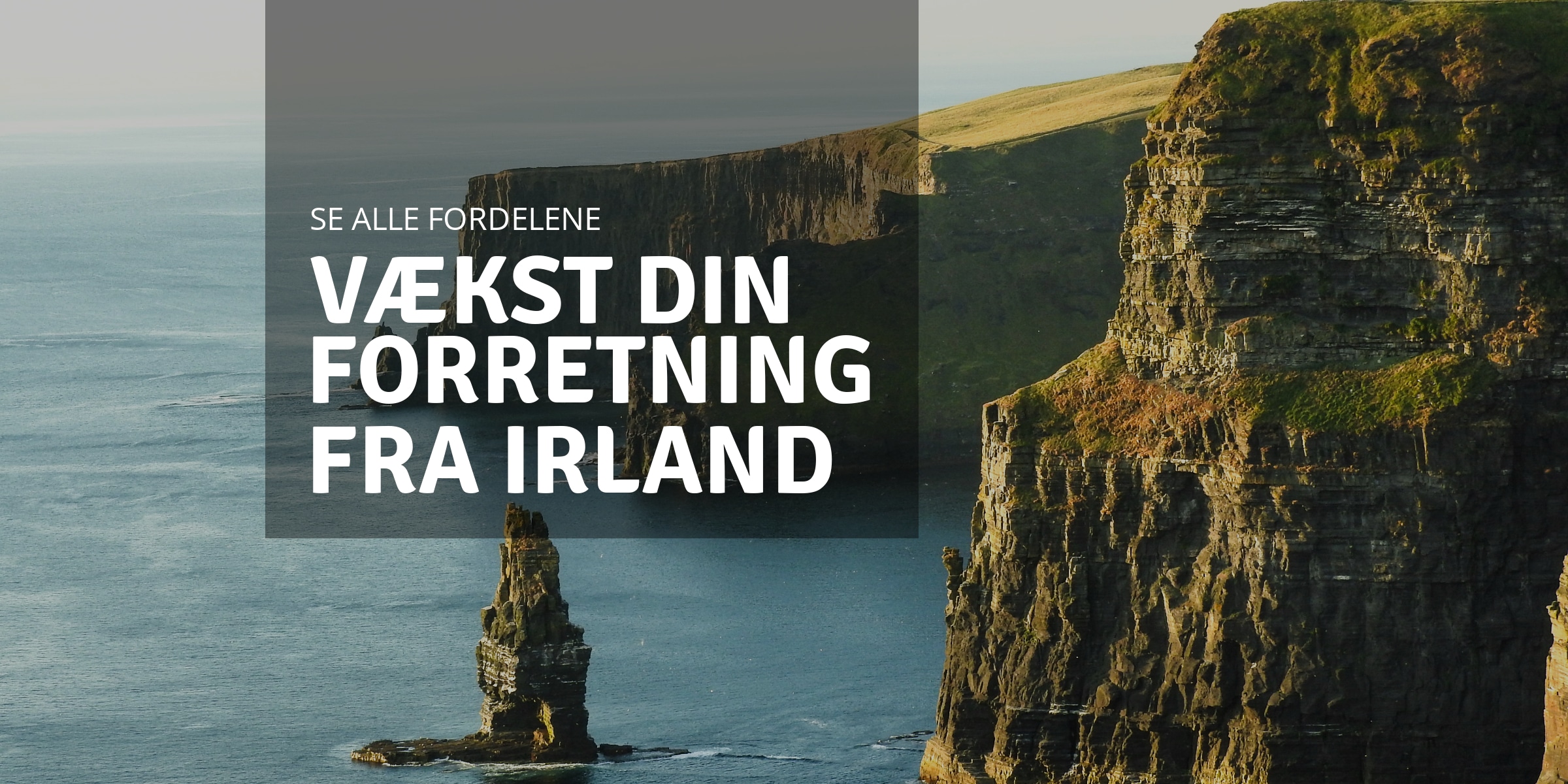 Selskab i Irland? Her er fordelene