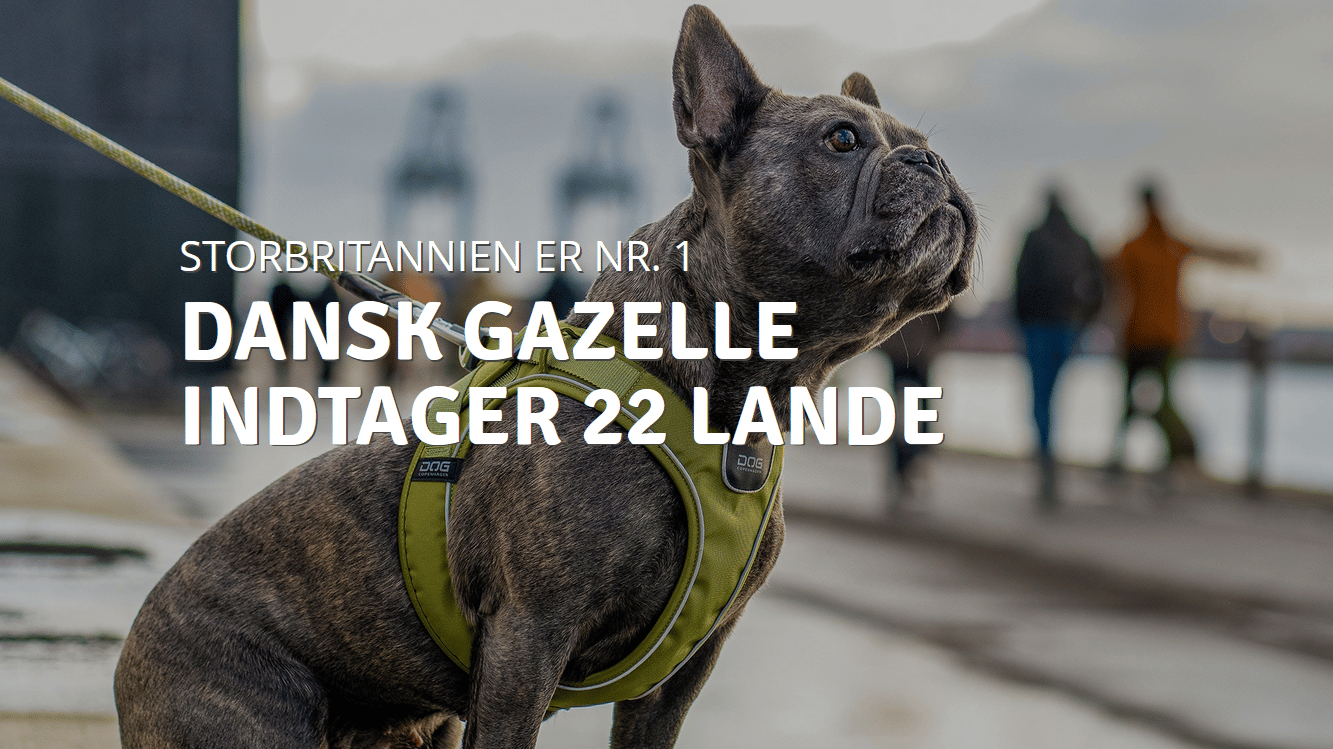 DOG Copenhagen: Storbritannien har vores øverste prioritet